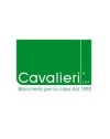 CAVALIERI